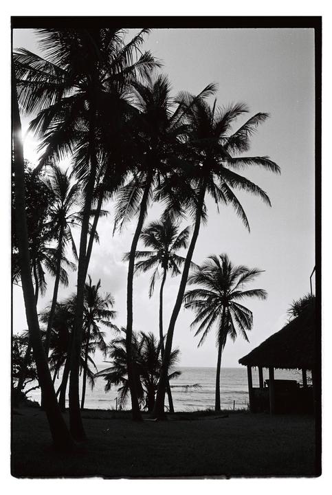 Palm trees and a hut are silhouetted against the ocean and sky.