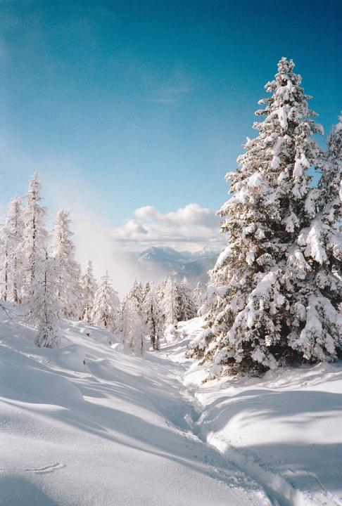 A snowy mountain landscape features a path through snow-covered trees under a bright blue sky.