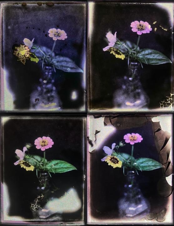Four images of wildflowers in a vase are arranged in a grid, each with varying color and imperfections.