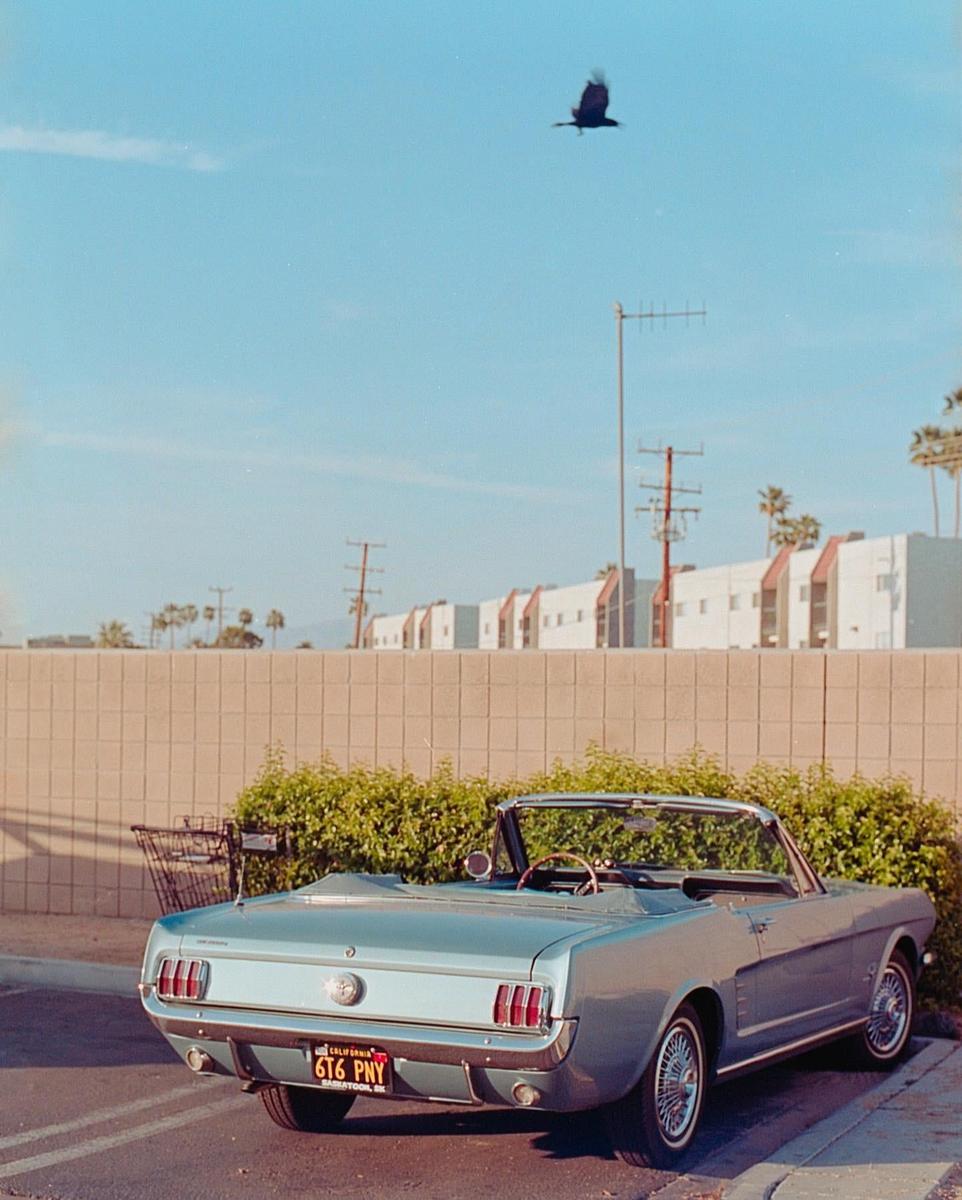 A light blue convertible car is parked on a street with a bird flying overhead.