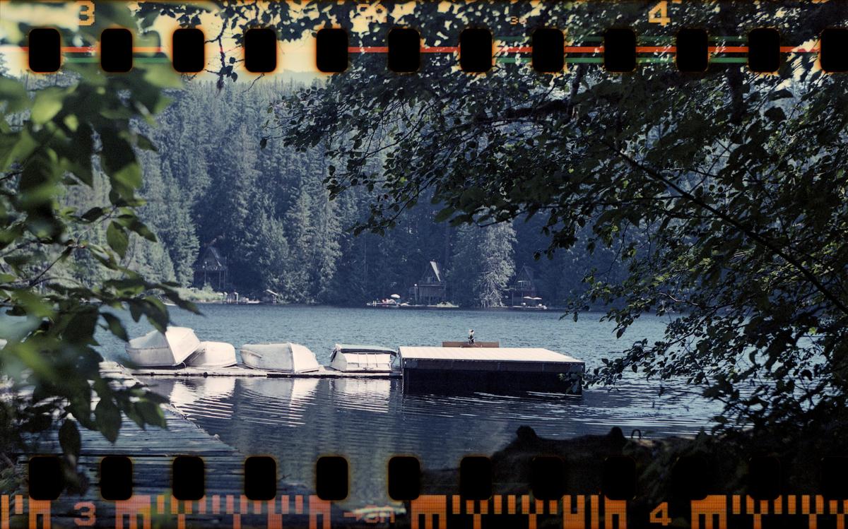 Several small boats are docked at a pier on a lake surrounded by a dense forest.