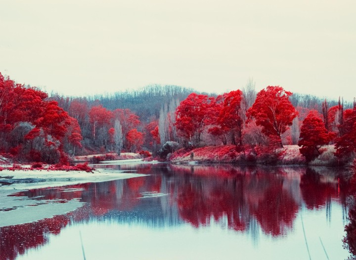 A body of water reflects red trees and a distant forest under a pale sky.