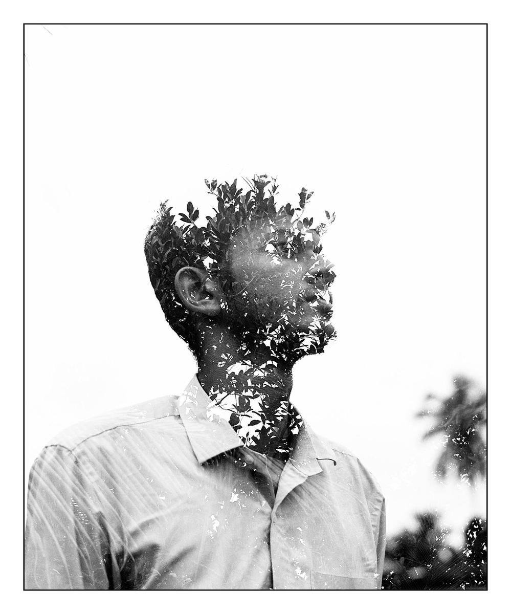 A man in a collared shirt is shown in a double exposure with foliage.