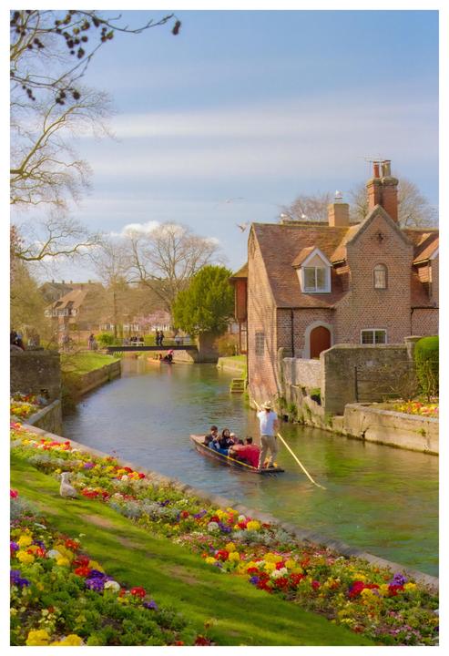 A man punts a boat with people down a river lined with colorful flowers and historic buildings.