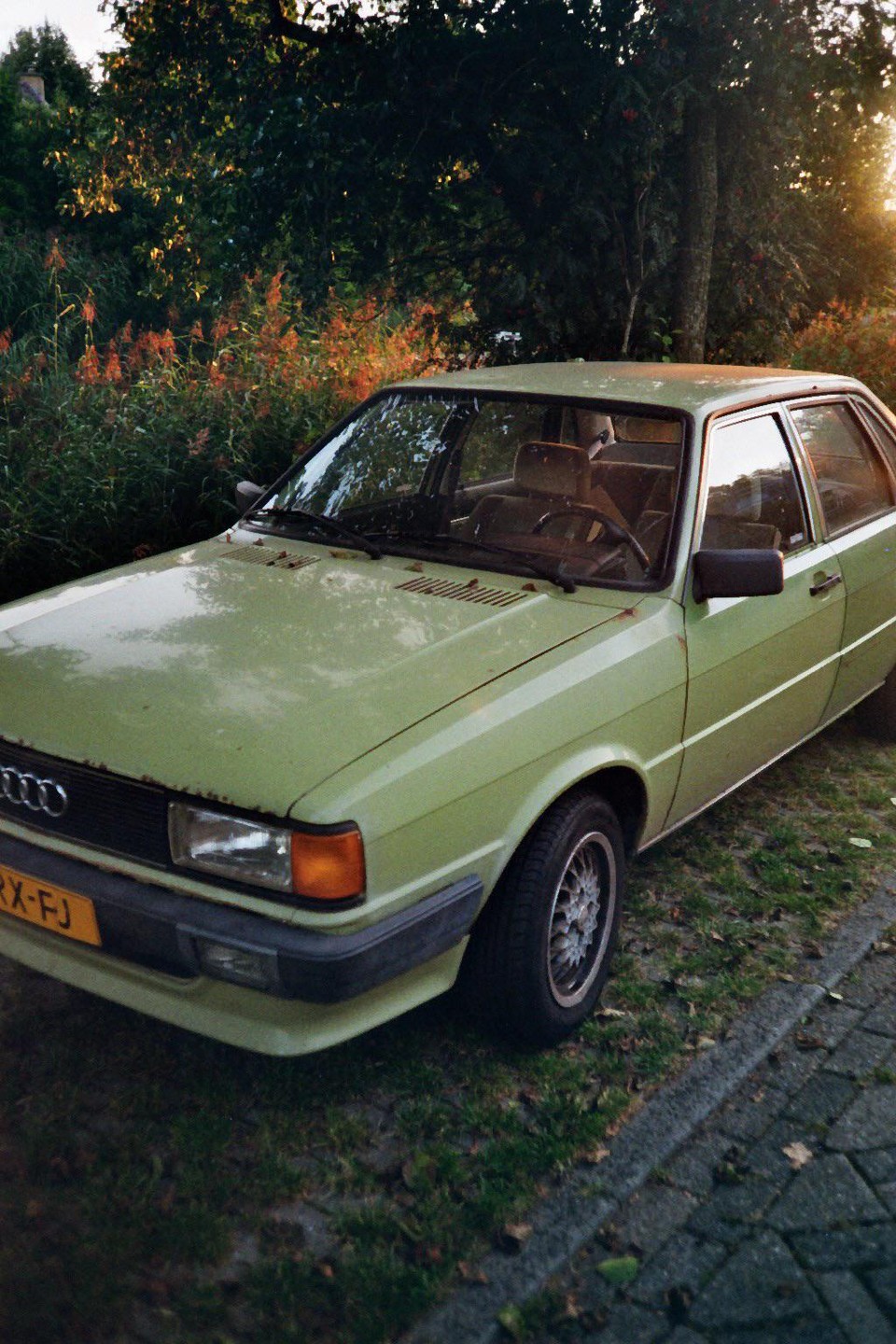 A light green car is parked on a grassy area next to a paved path, with trees and bushes in the background.