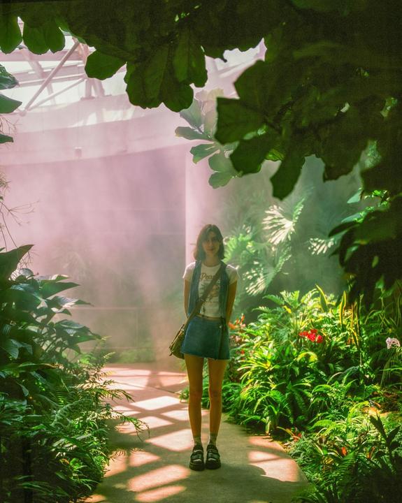 A woman stands on a path surrounded by lush green plants in a hazy, sunlit greenhouse.
