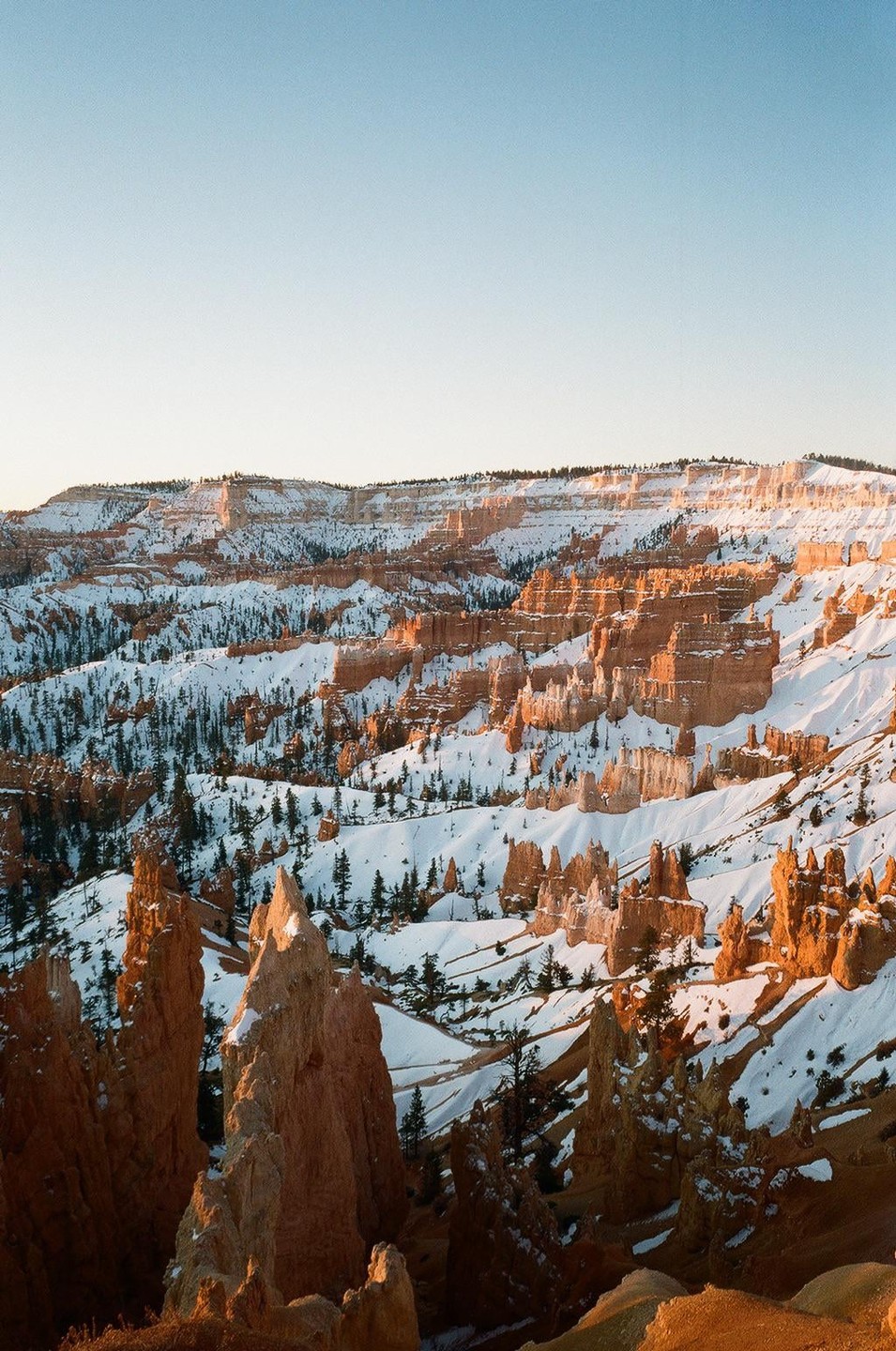 A vast landscape of snow-covered rock formations and pine trees is illuminated by golden light under a clear sky.
