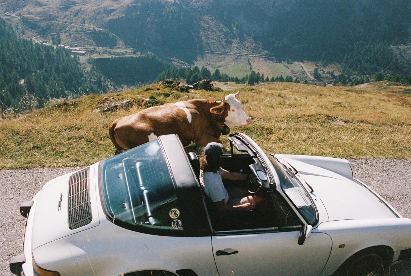 A person sits in a white convertible car next to a cow on a mountain road overlooking a valley.