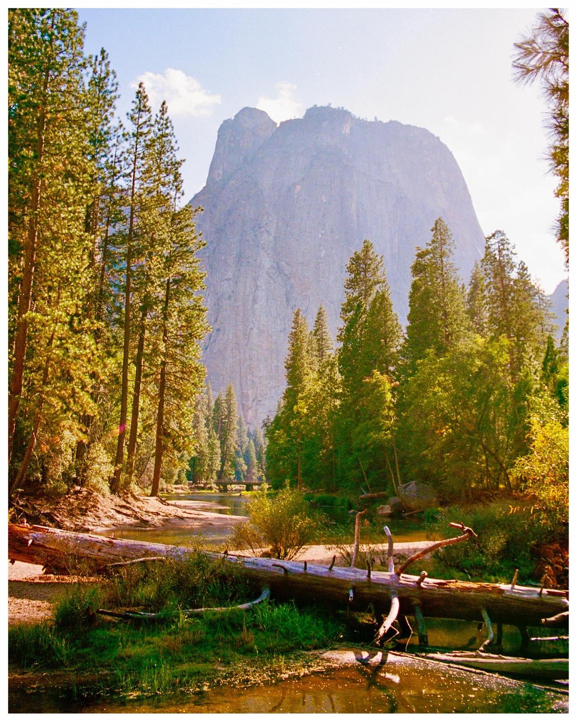 A large mountain rises behind a forest and a river with a fallen tree.