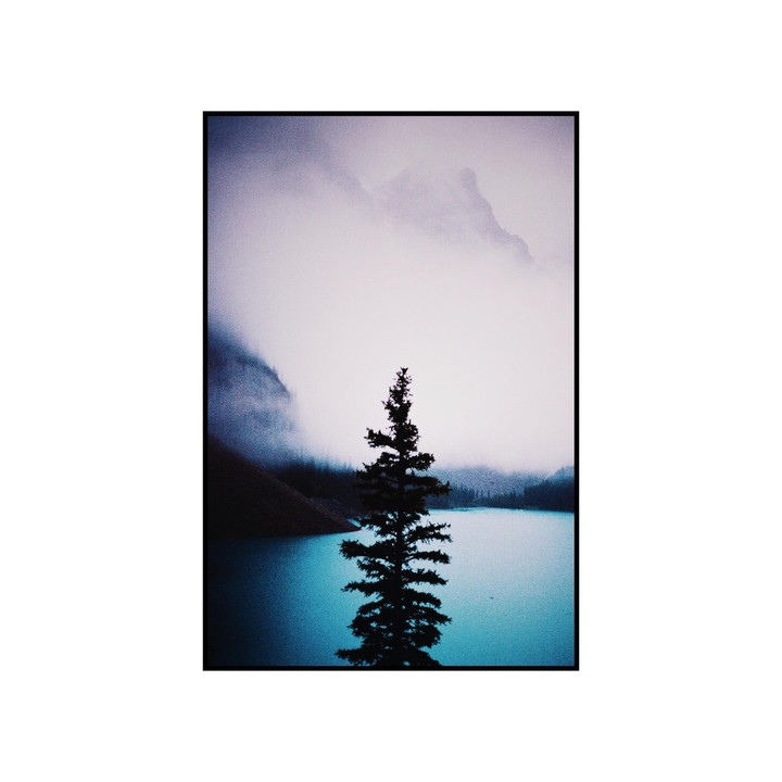 A lone pine tree stands in silhouette against a turquoise lake with fog-shrouded mountains in the background.