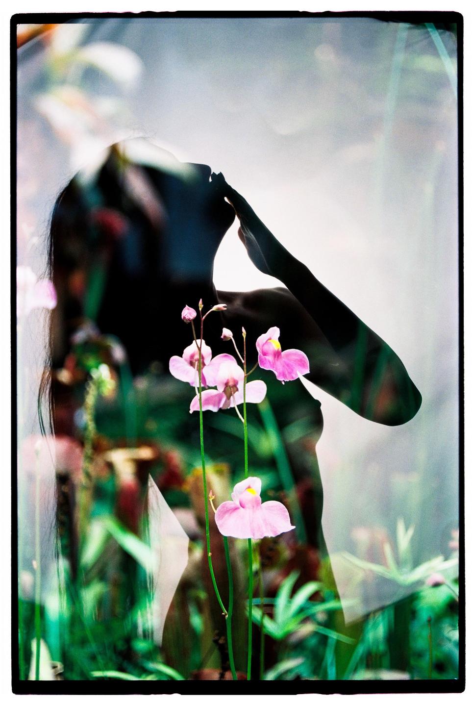 A woman's silhouette is visible through a double exposure with pink flowers and green foliage.