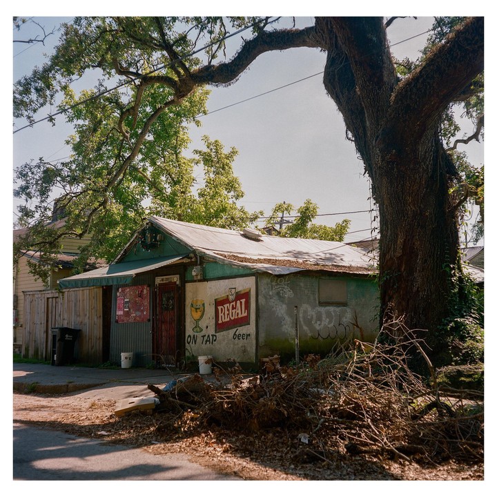 A small, dilapidated building with a "Regal Beer" sign on its side stands next to a large tree with exposed roots.