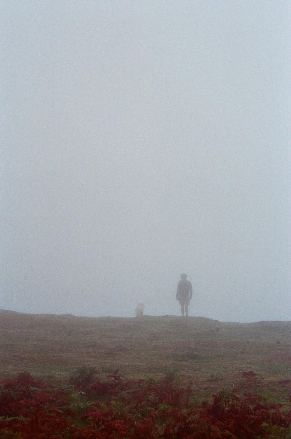 A person and a dog stand on a hill in a dense fog.