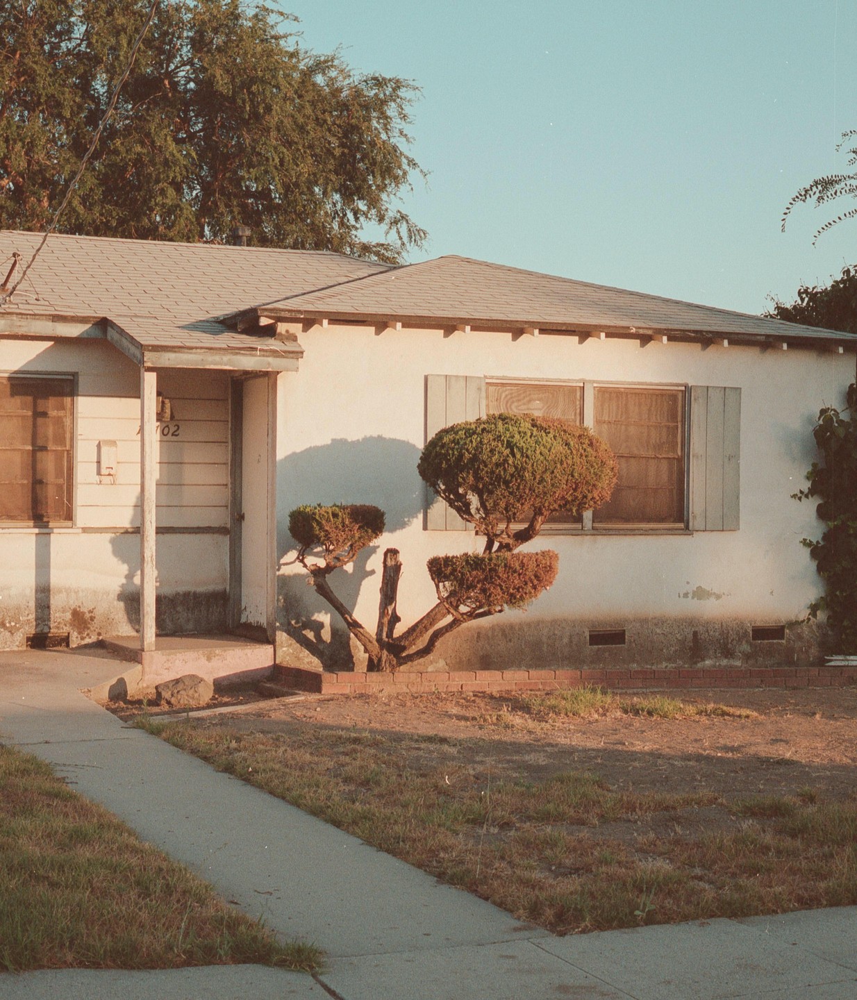 A small house with a manicured shrub in the front yard is bathed in warm light.