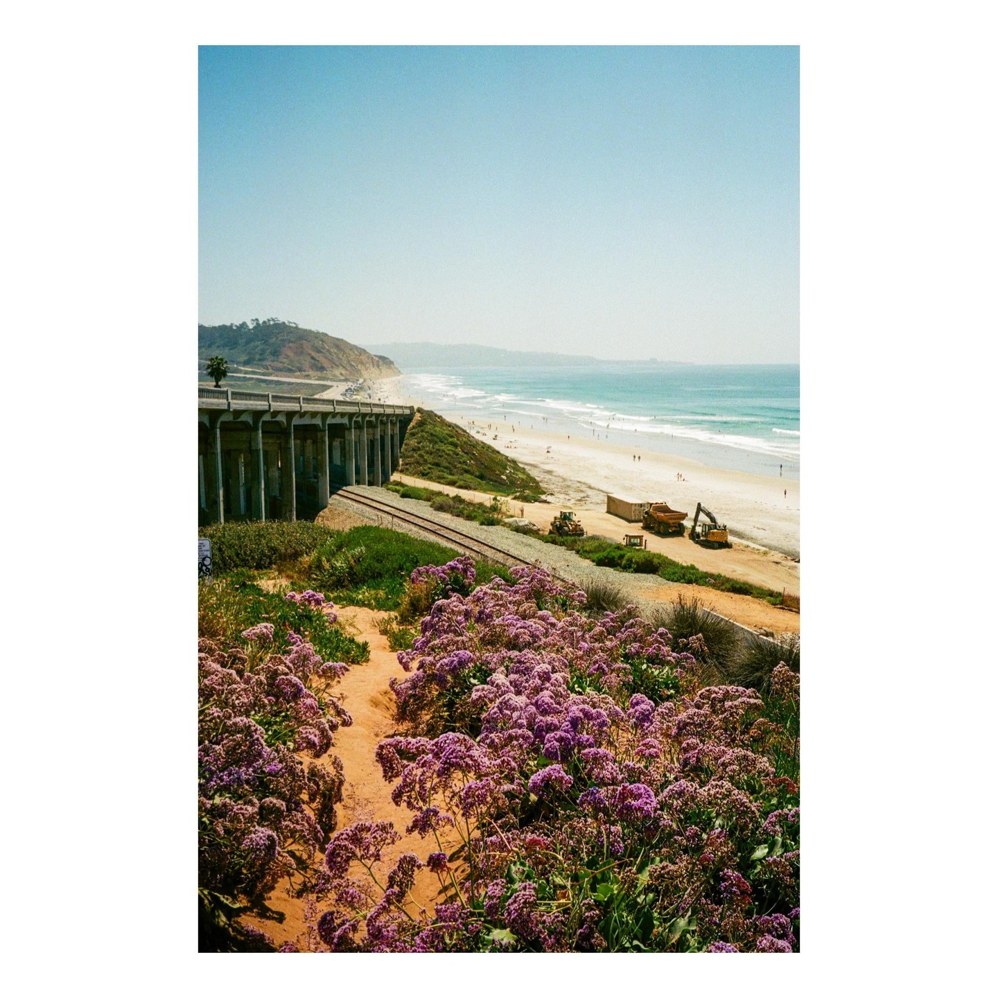 A coastal landscape features a beach with waves, a bridge, railroad tracks, and a hillside covered in purple flowers.