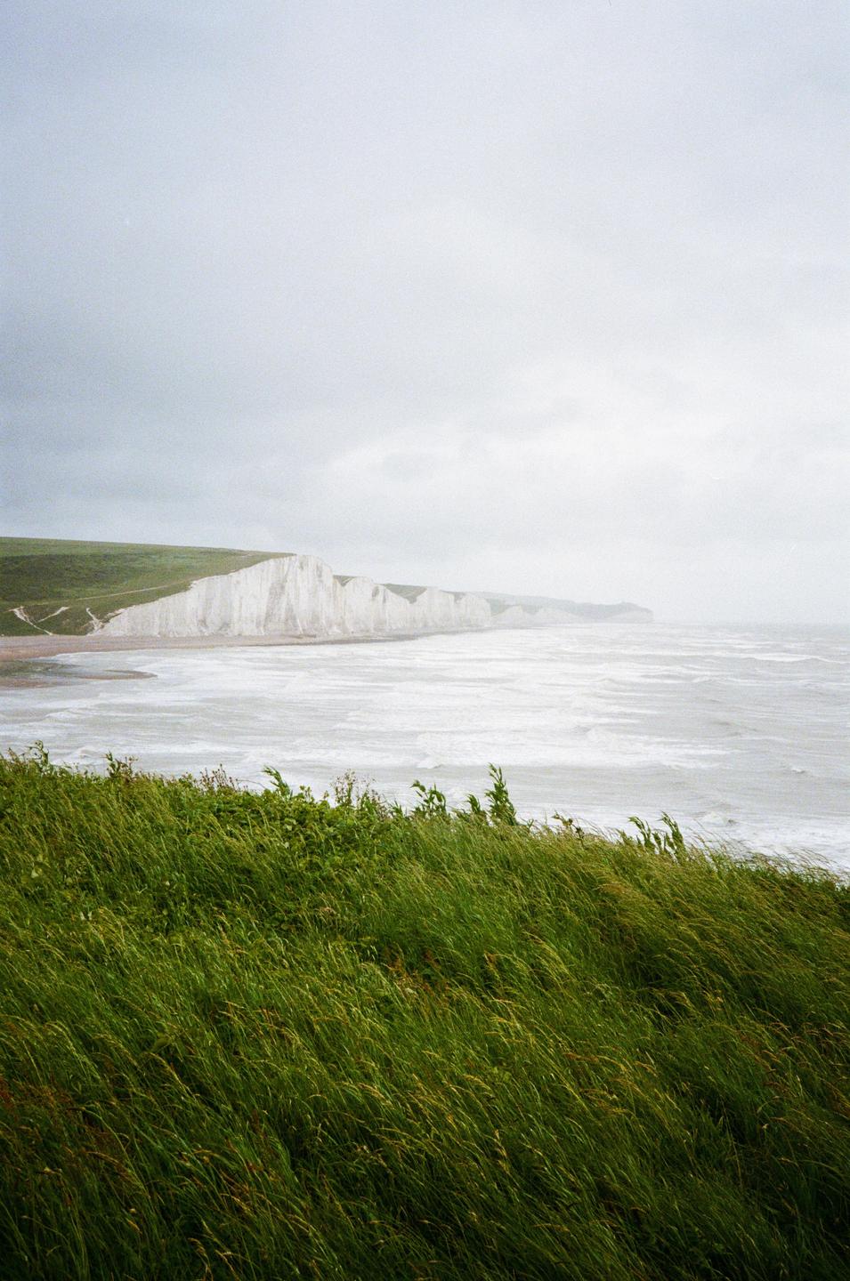 Tall green grass blows in the wind in front of white cliffs and a grey sea under a cloudy sky.
