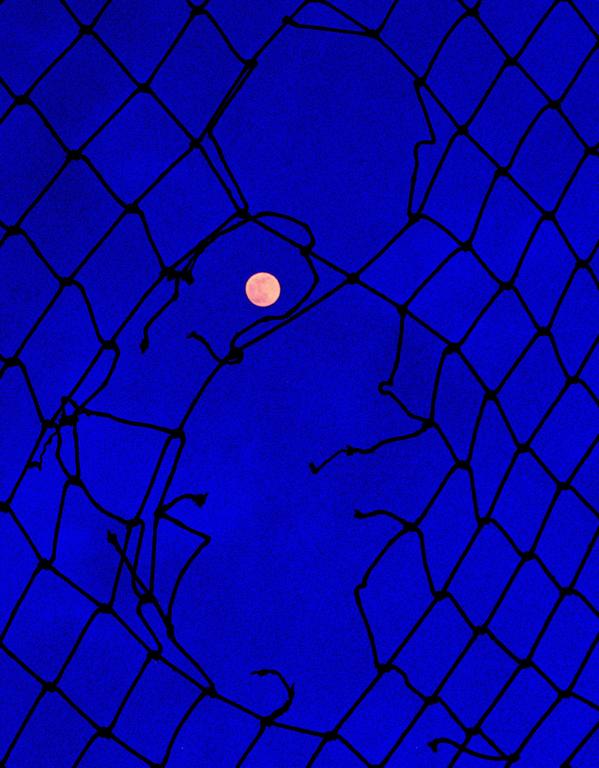 A full moon is visible through a torn net against a deep blue sky.