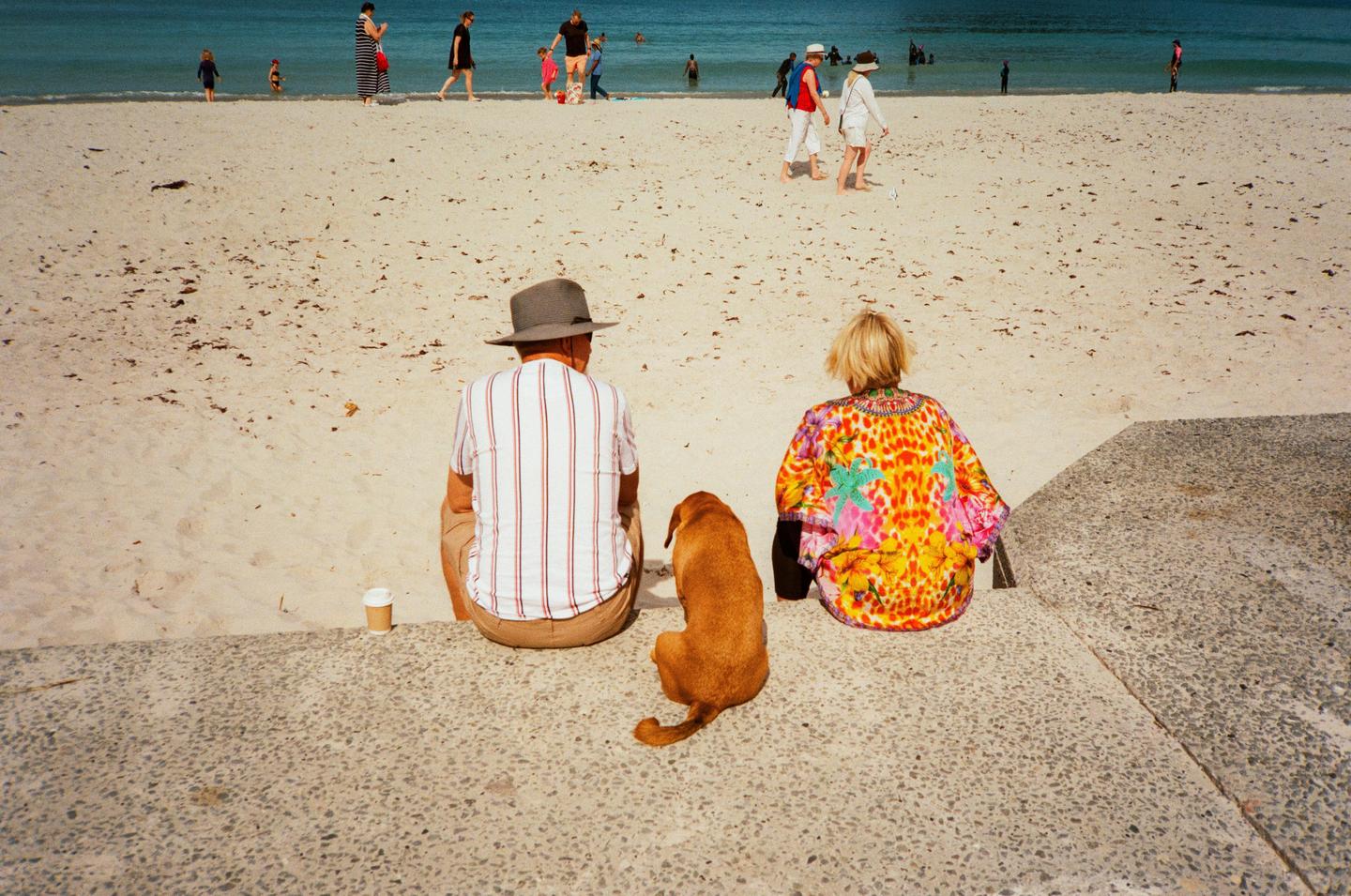 A man, a woman, and a dog sit on a concrete ledge overlooking a sandy beach with people in the water.