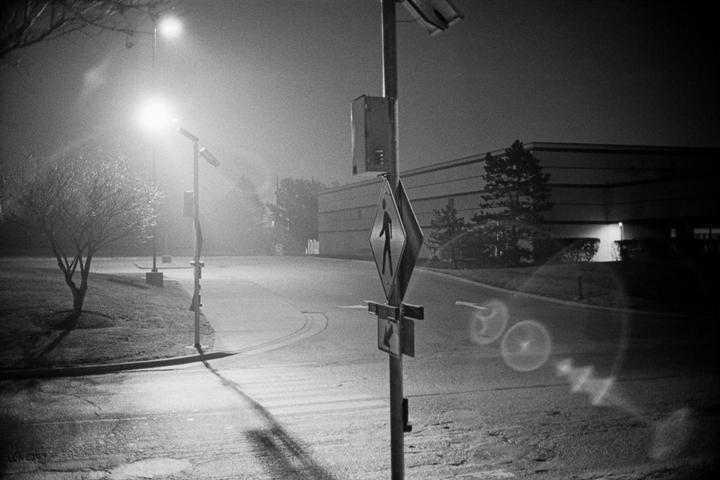 A street light illuminates a pedestrian crossing sign and a tree next to a road at night.