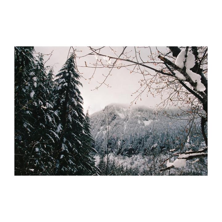 Snow-covered pine trees frame a view of a hazy, snow-covered mountain.