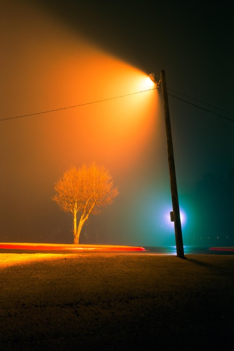 A street light illuminates a bare tree and a foggy street at night, with red light trails from a passing vehicle.
