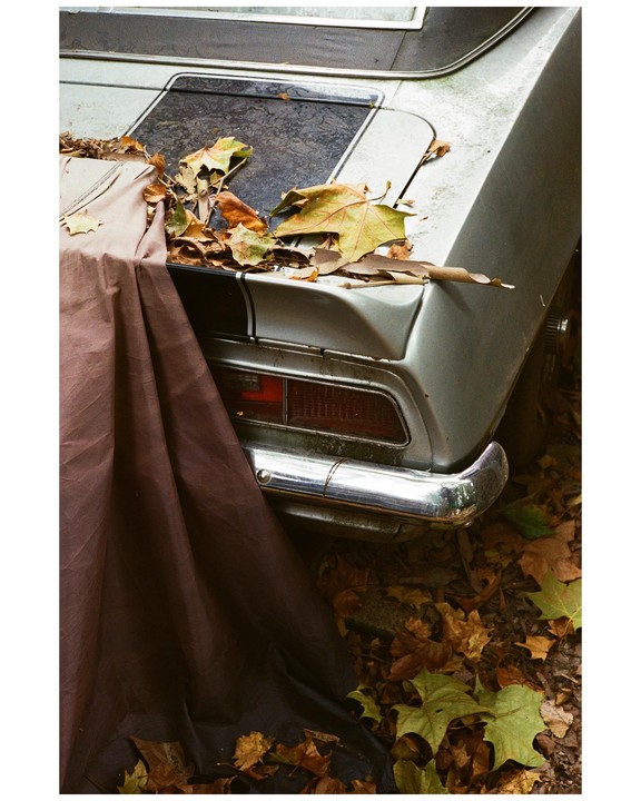 The rear of a vintage car is partially covered by a brown tarp and surrounded by autumn leaves.