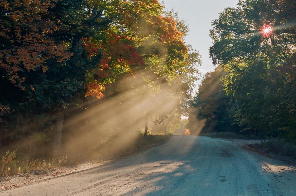 Sunlight streams through trees onto a dirt road, creating visible rays of light.