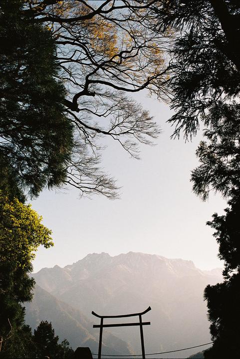 A torii gate stands in front of a mountain range, framed by trees.