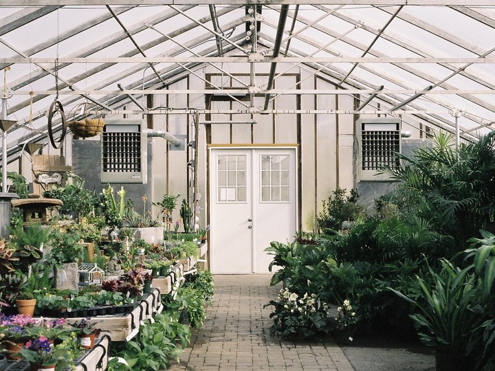 A white door is centered in a greenhouse filled with plants.