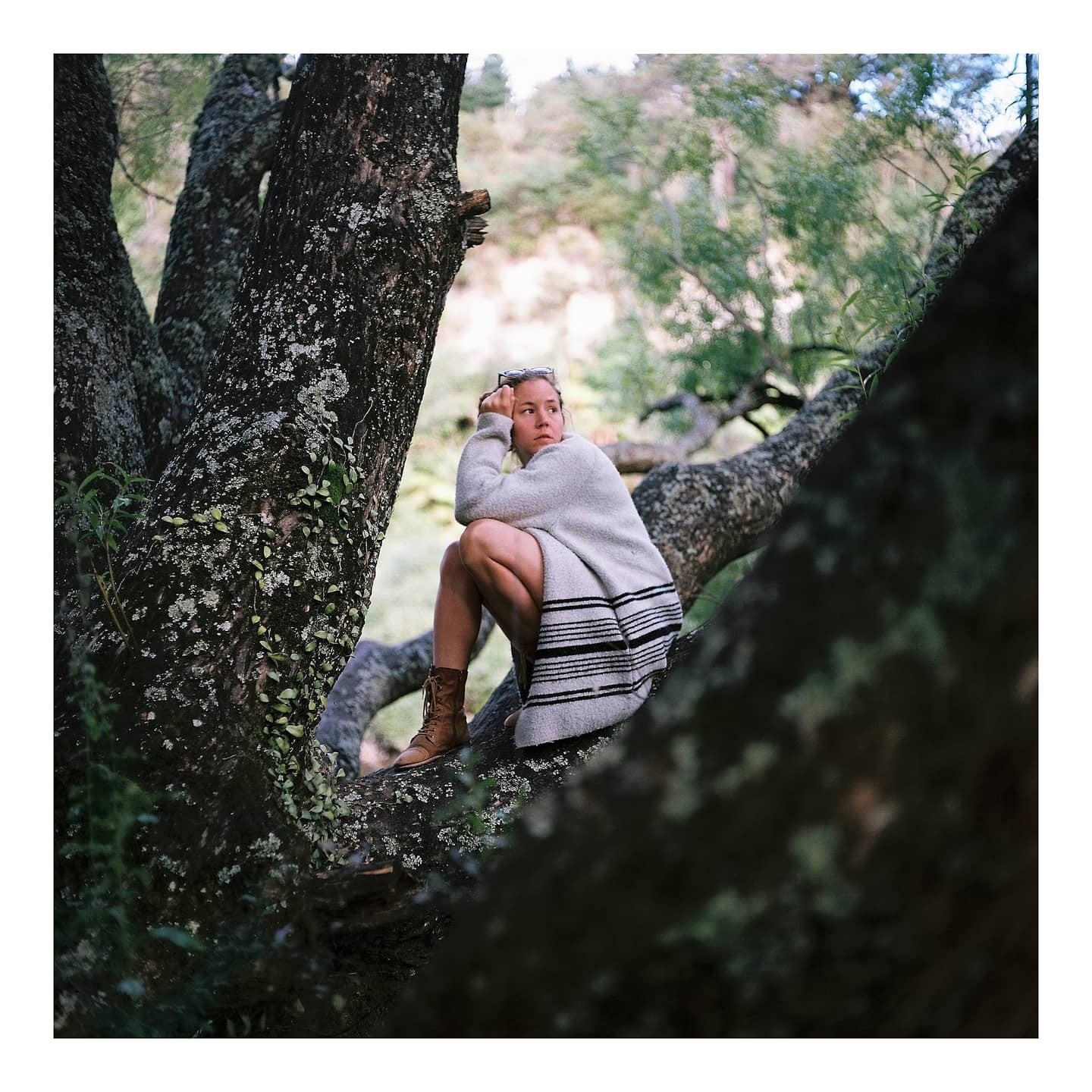 A woman sits on a tree branch, looking into the distance.