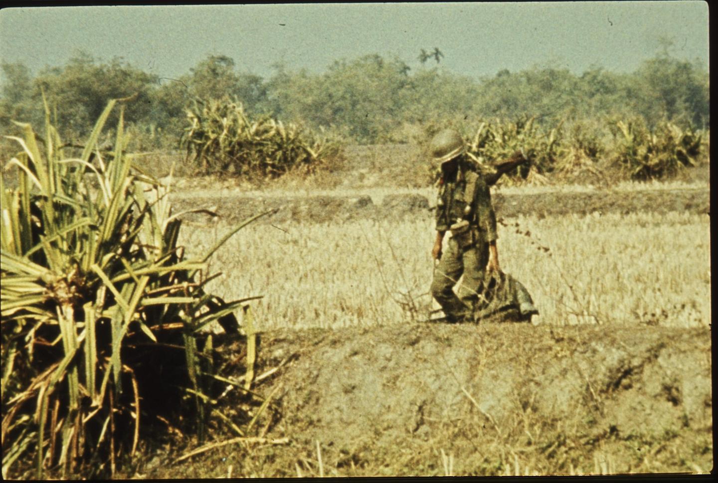 A soldier in uniform and helmet walks through a field with tall grass and trees in the background.