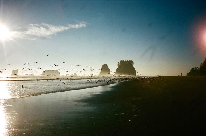 A flock of birds flies over a beach with sea stacks and a bright sun in the sky.