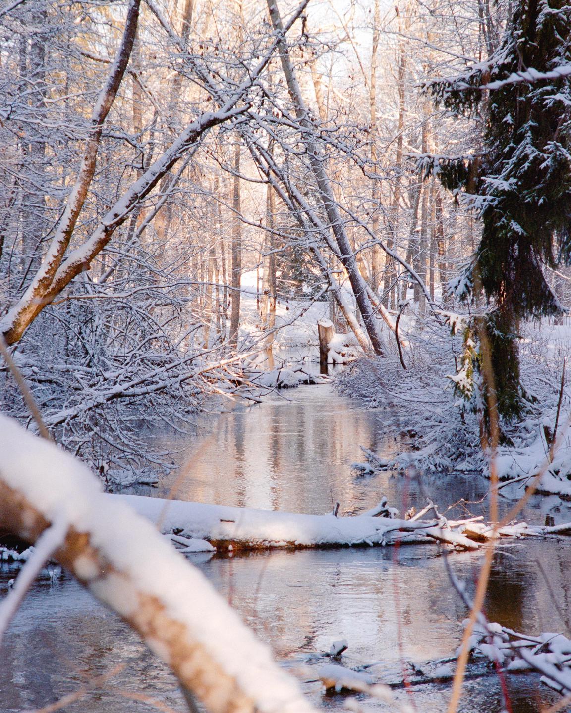 A narrow river flows through a snow-covered forest with fallen trees and branches.