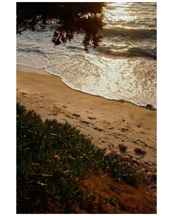 The Aegean Sea washes onto a sandy beach with green foliage in the foreground and a tree branch overhead.