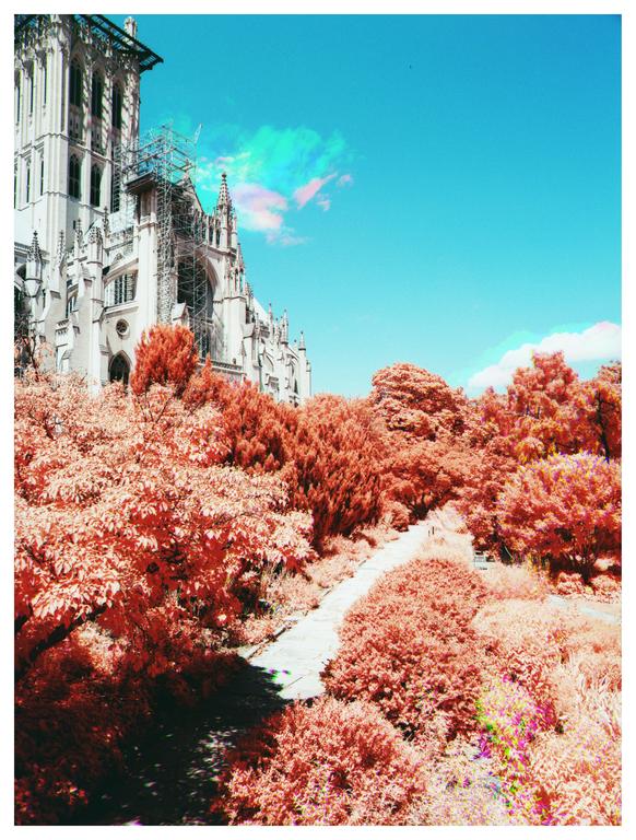 A large stone cathedral with scaffolding on its side rises above a path and many trees with red foliage.