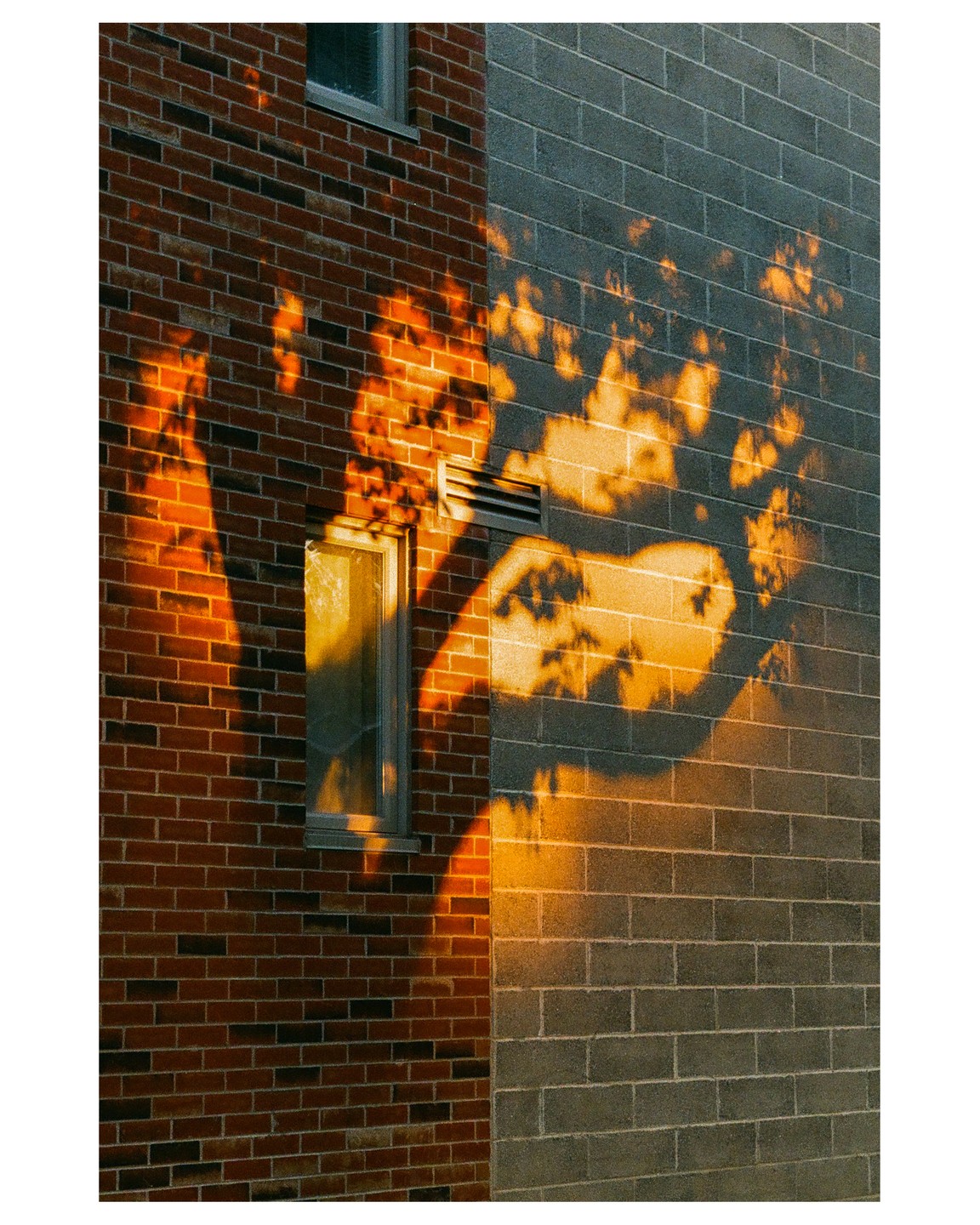 Sunlight casts tree shadows onto a brick and cinder block building with a window and vent.