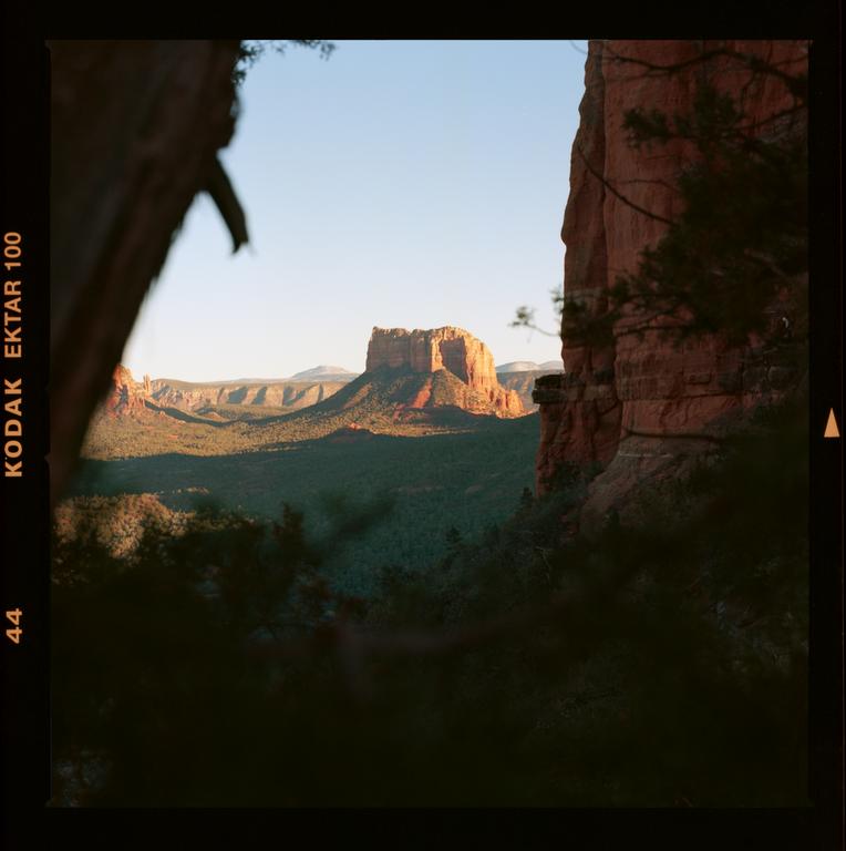 A red rock formation is visible in the distance, framed by trees and a cliff in the foreground.