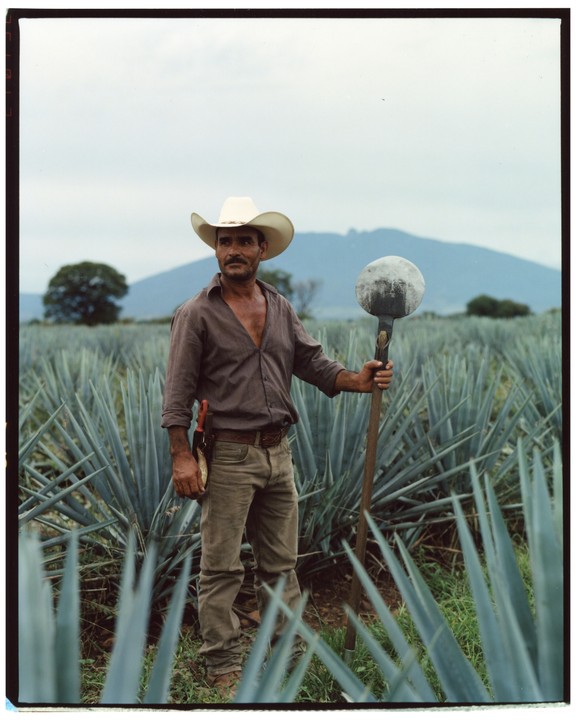 A man wearing a cowboy hat stands in a field of agave plants, holding a coa de jima.