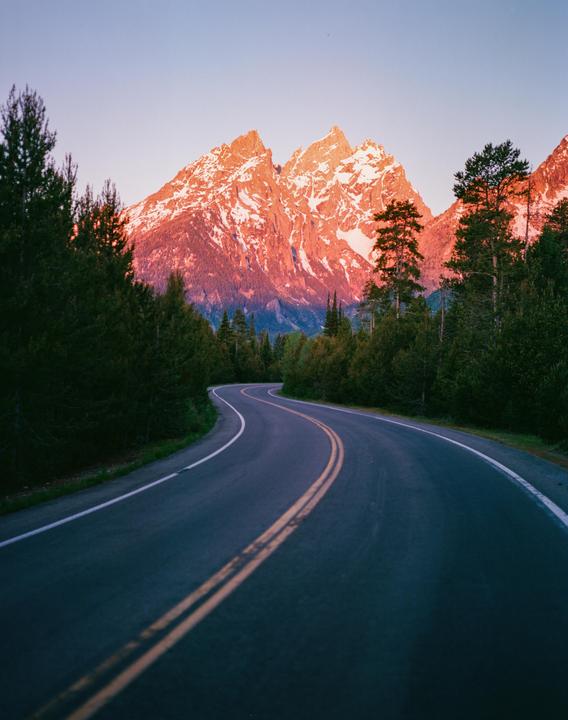A winding road leads towards snow-capped mountains illuminated by the setting sun, with pine trees lining the sides.