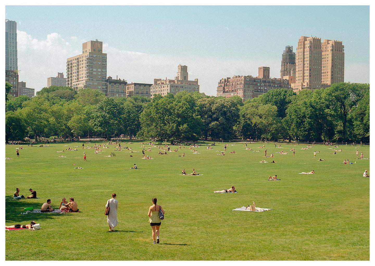 Many people are relaxing on a large grassy field surrounded by trees and city buildings.