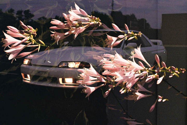 Pink flowers are double exposed over a white car with its headlights on at dusk.