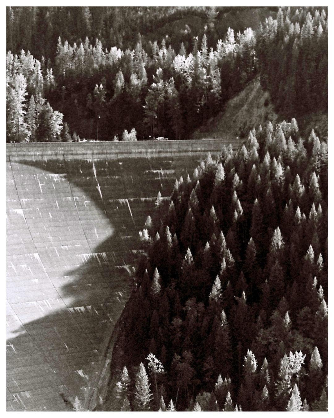 A large concrete dam with a road on top is surrounded by a dense forest.