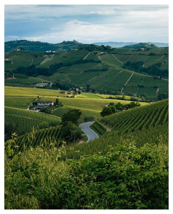 A winding road cuts through a valley filled with vineyards and scattered buildings under a cloudy sky.