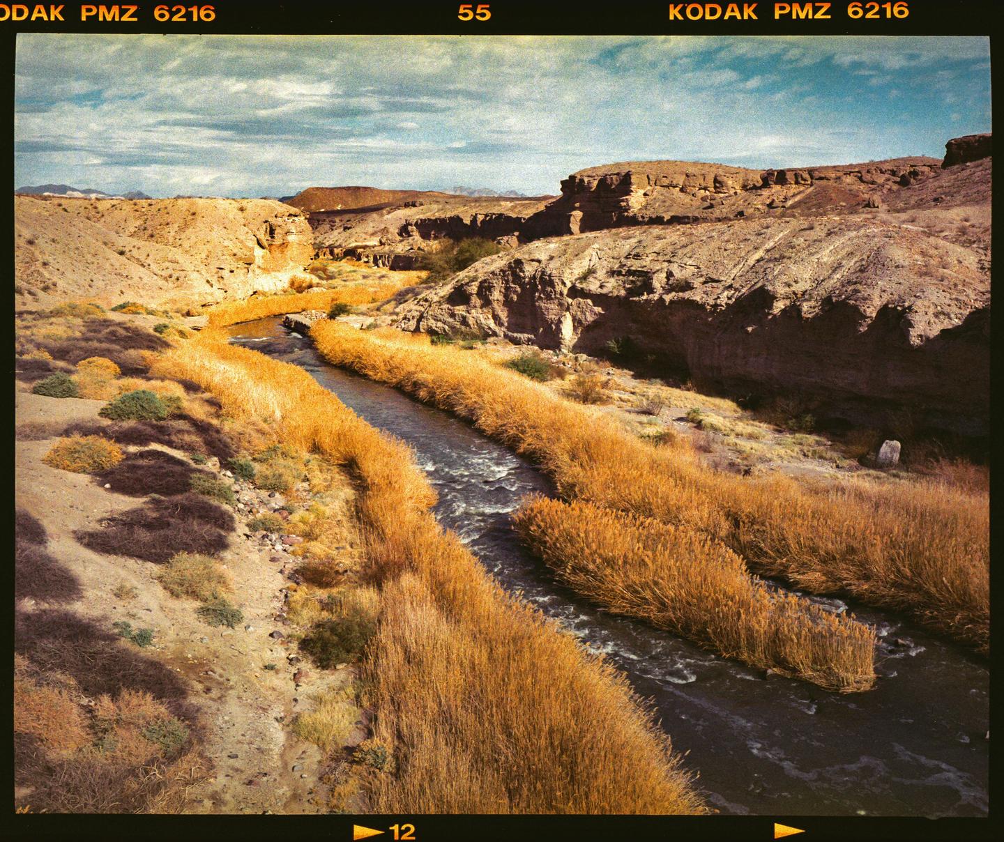 A river flows through a desert landscape with tall golden grass on its banks and rocky hills in the background.
