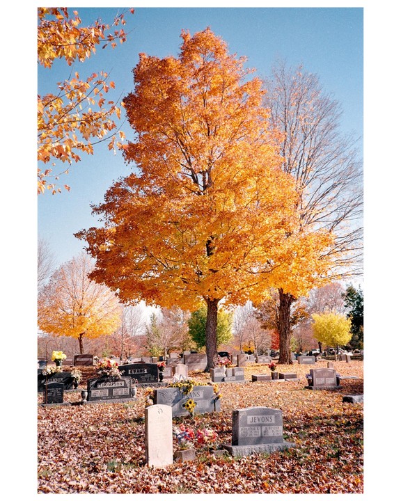 A cemetery is covered in autumn leaves with a large tree displaying bright orange foliage.