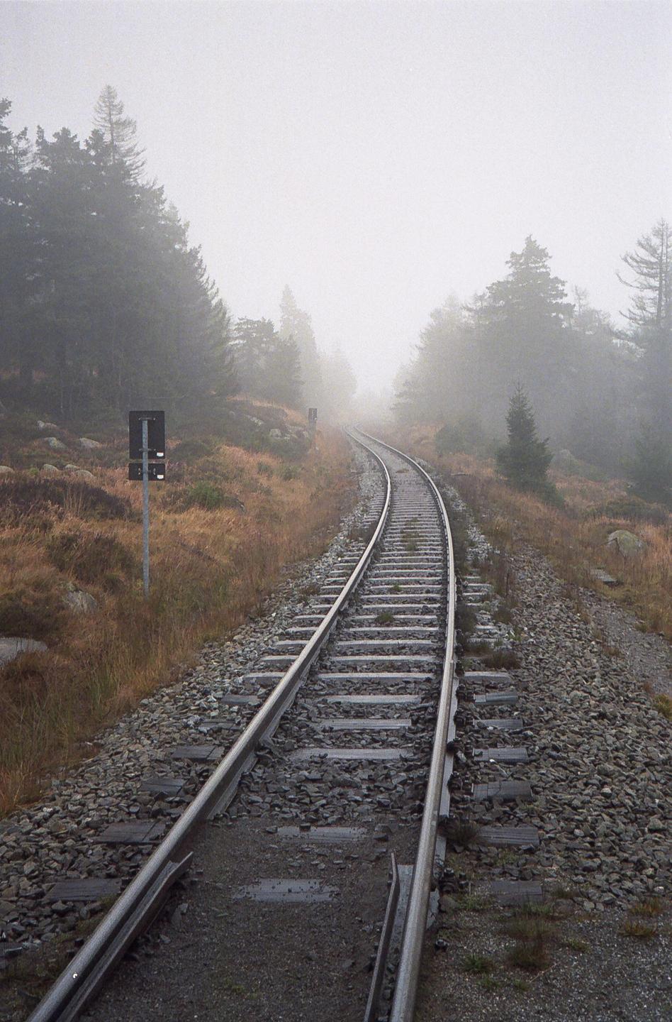 A train track curves through a foggy forest with dry grass and rocks on either side.