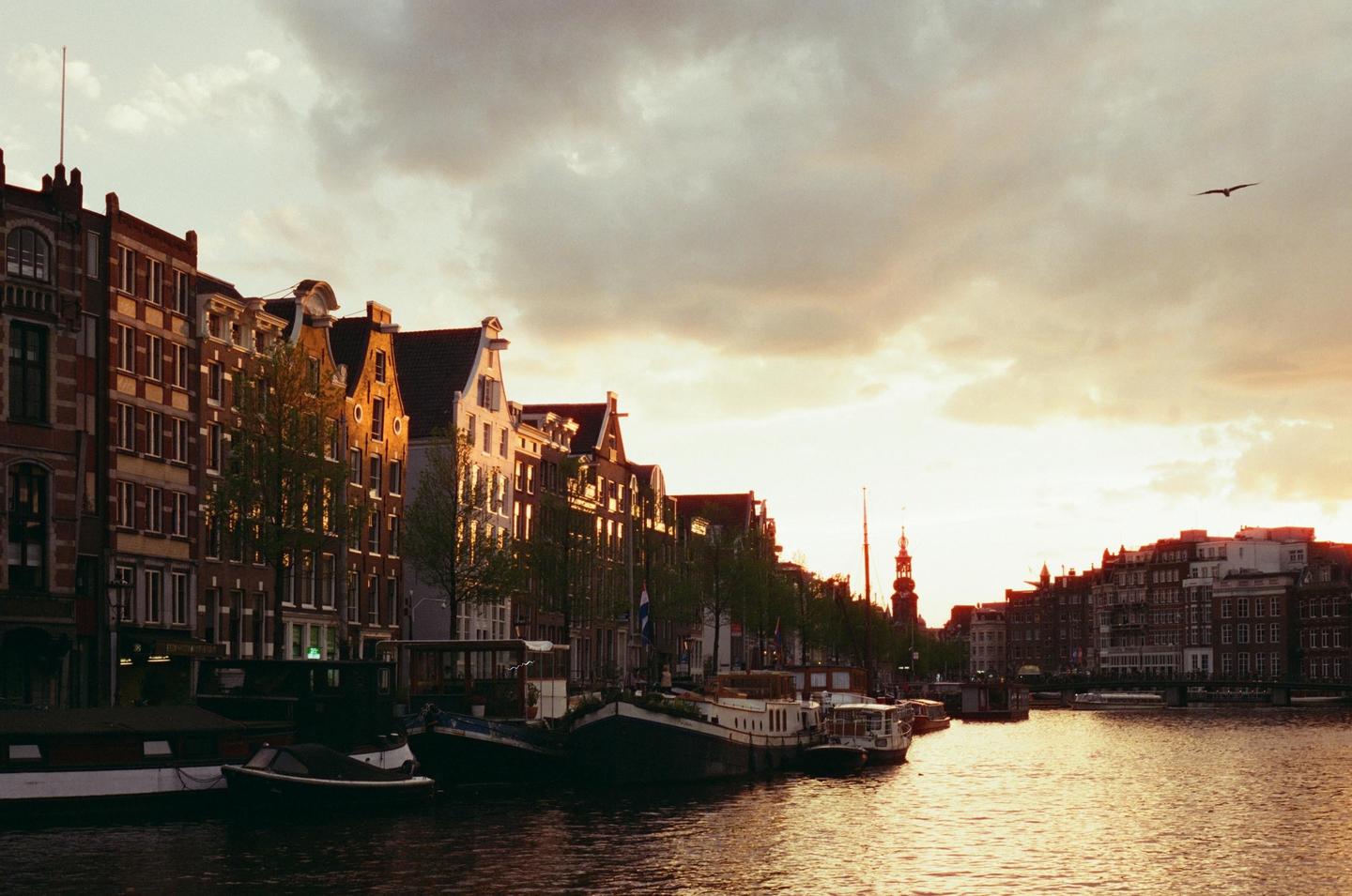 A bird flies over a canal lined with boats and buildings at sunset.