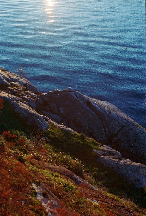 Sunlight reflects on the water next to a rocky, grassy shore.
