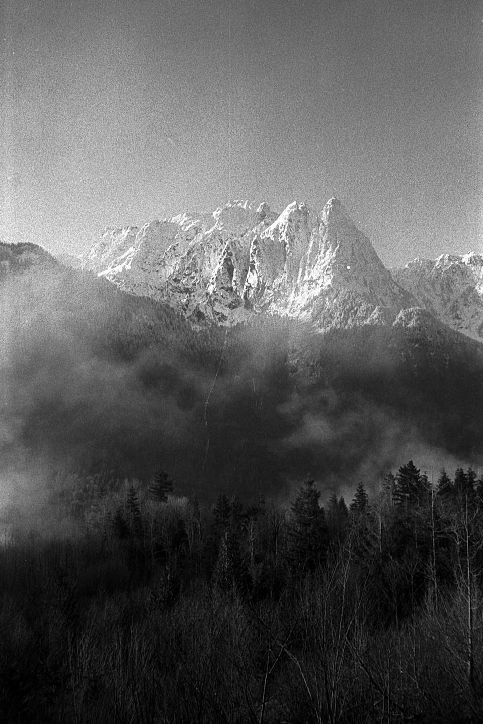 A black and white landscape shows a snow-capped mountain range partially obscured by fog, with a forest in the foreground.