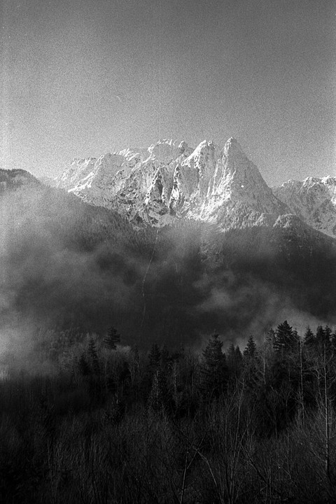 A black and white landscape shows a snow-capped mountain range partially obscured by fog, with a forest in the foreground.